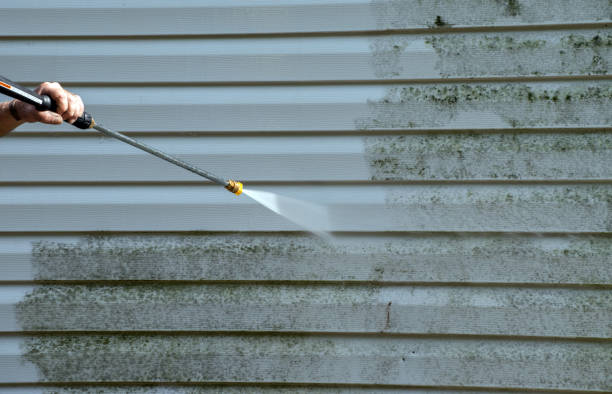 Best Certified Mold Removal  in Washington, PA