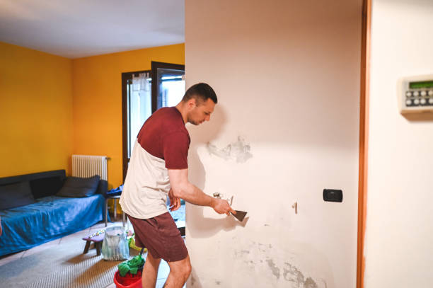Best Fast Mold Removal  in Washington, PA